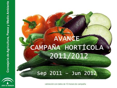 Consejería de Agricultura, Pesca y Medio Ambiente AVANCE CAMPAÑA HORTÍCOLA 2011/2012 Sep 2011 – Jun 2012 valoración con datos de 10 meses de campaña.