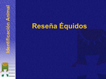 Reseña Équidos. Denominación partes del cuerpo.