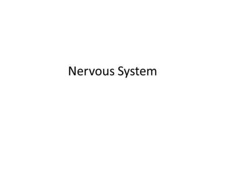 Nervous System. Organs and Nerves that send and receive electrical messages all over the body Órganos y nervios que envían y reciben mensajes eléctricos.