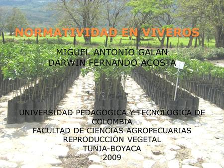 MIGUEL ANTONIO GALAN DARWIN FERNANDO ACOSTA UNIVERSIDAD PEDAGOGICA Y TECNOLOGICA DE COLOMBIA FACULTAD DE CIENCIAS AGROPECUARIAS REPRODUCCION VEGETAL TUNJA-BOYACA.