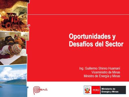 Oportunidades y Desafíos del Sector