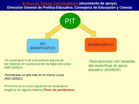 El Plan de Trabajo Individualizado (documento de apoyo)