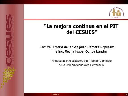 1 CESUES “La mejora continua en el PIT del CESUES” Por: MDH María de los Angeles Romero Espinoza e Ing. Reyna Isabel Ochoa Landín Profesoras Investigadoras.
