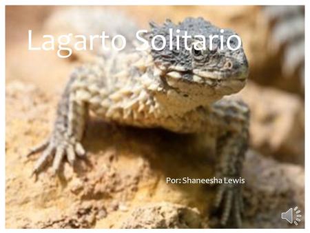 Lagarto Solitario Por: Shaneesha Lewis Hace mucho tiempo en un desierto vivía un lagarto. Su nombre era Jones. Jones era un lagarto muy parlanchín.