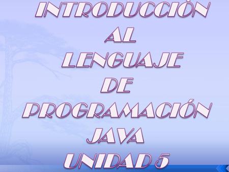 INTRODUCCIÒN AL LENGUAJE DE PROGRAMACIÓN JAVA UNIDAD 5