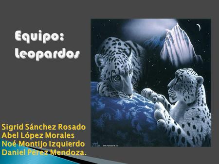 Sigrid Sánchez Rosado Abel López Morales Noé Montijo Izquierdo Daniel Pérez Mendoza.