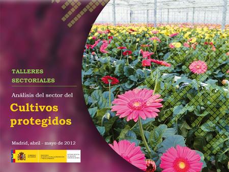 TALLERES SECTORIALES Madrid, abril - mayo de 2012 Análisis del sector del Cultivos protegidos.