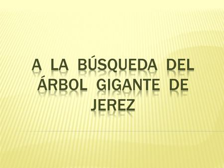 ¿SABE USTED DONDE ESTÁ CORREOS? UNA SINGULAR FIERA ALBERGABA UN MENSAJE.