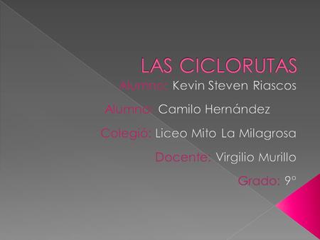  Que es ciclorutas  Funciones de las ciclorutas  Para que hacen las ciclorutas  Tipos de ciclorutas  Estadísticas de las ciclorutas.