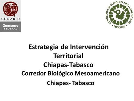 Estrategia de Intervención Territorial Chiapas-Tabasco