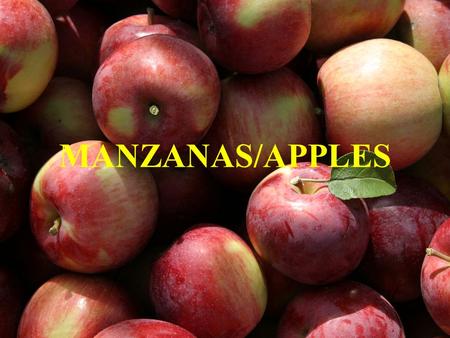 MANZANAS/APPLES. Para el lunes: Capítulo 6 A Centroamérica, el porvenir: rincón cultural (pp 274-278) p.a.d. en Manual/QUIA manzanas.