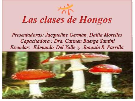 Las clases de Hongos Presentadoras: Jacqueline Germán, Dalila Morelles