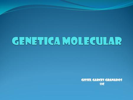 GENETICA MOLECULAR GISSEL GARCES GRANADOS 11C.