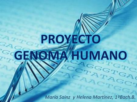 María Sainz y Helena Martínez, 1ºBach.B.. Genoma: Conjunto de todos los genes de un ser vivo. El ADN está formado por una doble hélice de cadenas de.