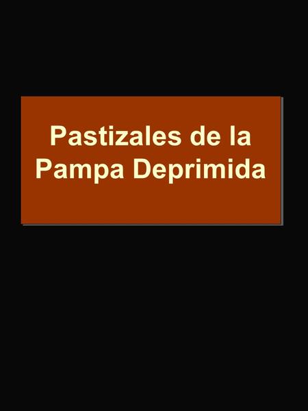 Pastizales de la Pampa Deprimida. From Soriano et al. 1991 8.5 milliones de ha.