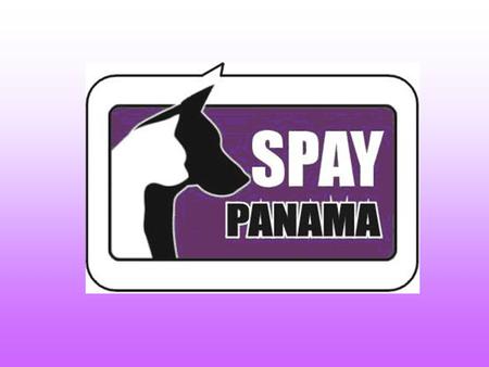 Quienes somos? Spay/Panamá es una organización no- lucrativa no-gubernamental legalmente establecida en la República de Panamá. Transparencia financiera.