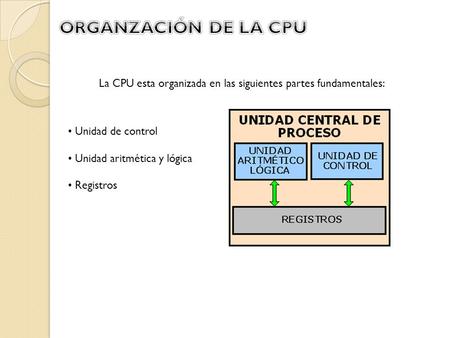 La CPU esta organizada en las siguientes partes fundamentales: Unidad de control Unidad aritmética y lógica Registros.