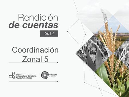 Coordinación Zonal 5. Rupturas Democratización del acceso a los factores de producción Ampliar, diversificar e innovar los servicios técnicos rurales.