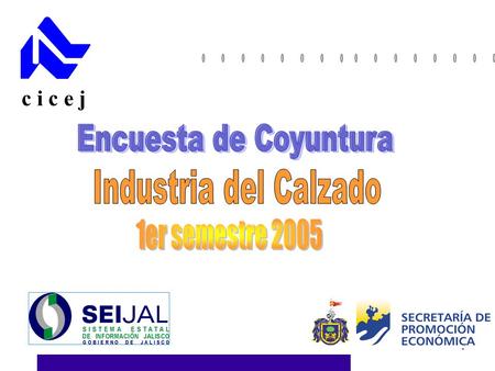 1 c i c e j. 2 INTRODUCCIÓN COMO PARTE DE UN ESFUERZO CONJUNTO DEL SISTEMA ESTATAL DE INFORMACIÓN JALISCO (SEIJAL) Y LA CÁMARA DE LA INDUSTRIA DEL CALZADO.