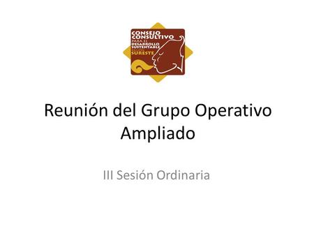 Reunión del Grupo Operativo Ampliado III Sesión Ordinaria.