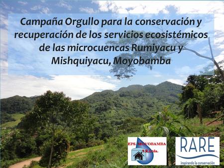 Campaña Orgullo para la conservación y recuperación de los servicios ecosistémicos de las microcuencas Rumiyacu y Mishquiyacu, Moyobamba.