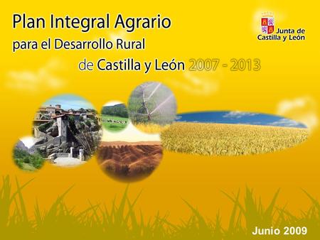 Junio 2009. Desarrollo Plan Integral. Financiación por ejes de actuación Eje de actuación A: Atención al agricultor y ganadero. Administración de cercanía.