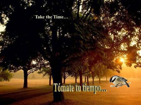 Take the Time… Take time to Love… It is the secret of eternal youth! (Toma tiempo para el amor… ¡Ése es el secreto de la eterna juventud!)