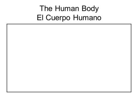 The Human Body El Cuerpo Humano. Human Body Book El Libro del Cuerpo Humano Nuestra clase aprende en Colchester, Vermont. Hemos estudiado sobre el cuerpo.