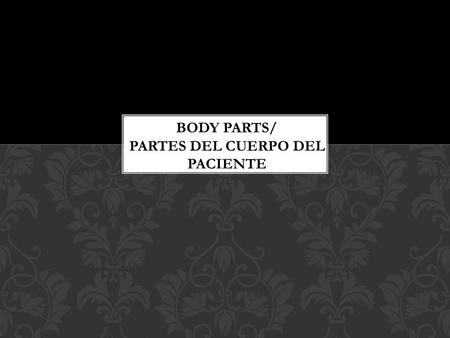 Show me! Enseñeme Point to it! Señale/ Muestre IMPORTANT PHRASES TO KNOW WHEN DISCUSSING ANATOMY.