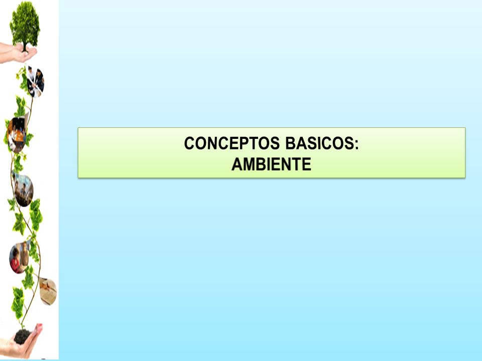 CONCEPTOS BASICOS: AMBIENTE. - ppt descargar
