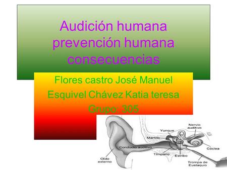 Audición humana prevención humana consecuencias