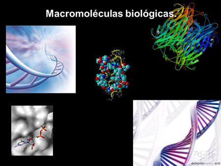 Macromoléculas biológicas.