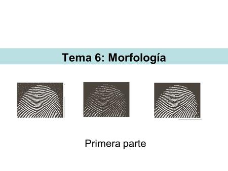 Tema 6: Morfología Primera parte.
