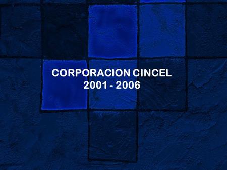 CORPORACION CINCEL 2001 - 2006. 06/052 Un programa nacional de información  Para la difusión de la información científica publicada a nivel nacional.