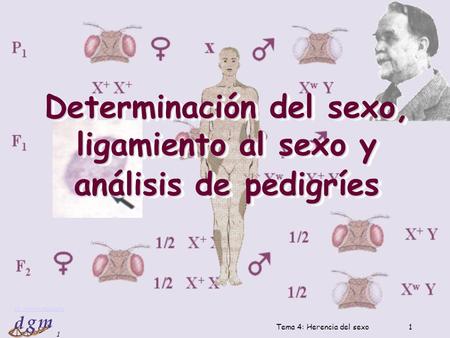 Determinación del sexo, ligamiento al sexo y análisis de pedigríes