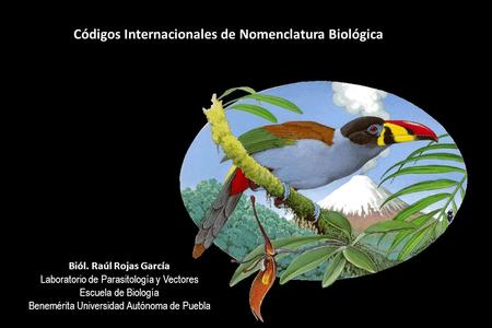 Códigos Internacionales de Nomenclatura Biológica