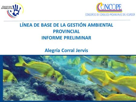 LÍNEA DE BASE DE LA GESTIÓN AMBIENTAL PROVINCIAL