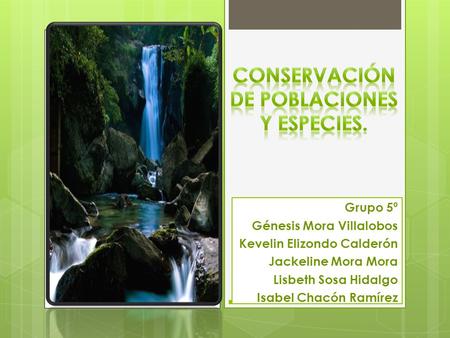 Grupo 5º Génesis Mora Villalobos Kevelin Elizondo Calderón Jackeline Mora Mora Lisbeth Sosa Hidalgo Isabel Chacón Ramírez.