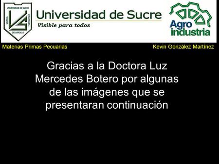 Materias Primas Pecuarias Kevin González Martínez
