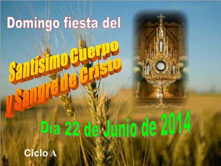 Domingo fiesta del Santísimo Cuerpo y Sangre de Cristo