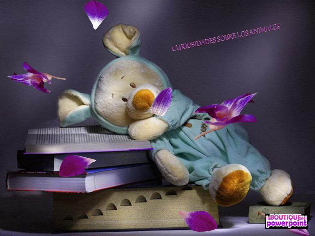 Мишка лег спать. Спокойной ночи игрушки. Игрушки книжки спят. Книжка спокойной ночи. Спокойной ночи креативно.