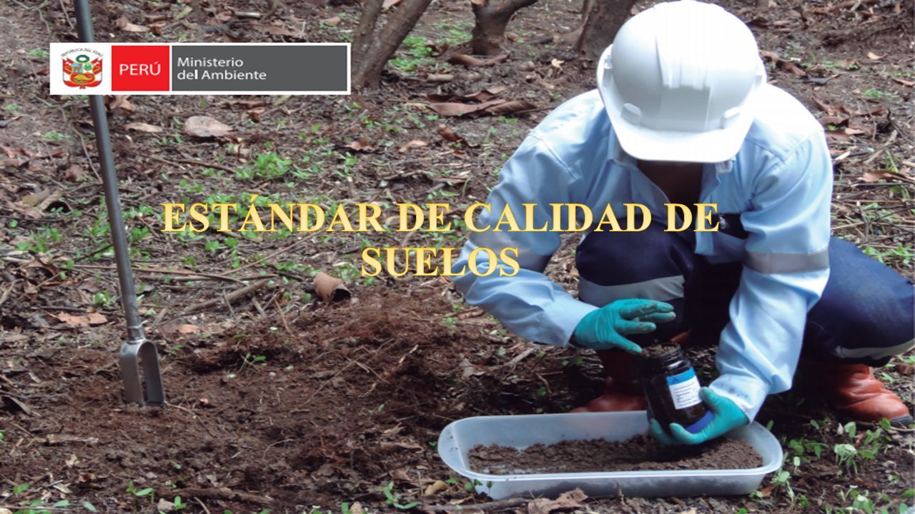 ESTÁNDAR DE CALIDAD DE SUELOS Los estándares de calidad ambiental para suelo  constituyen los indicadores que miden el nivel de concentración de  parámetros. - ppt descargar