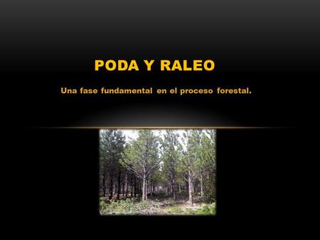 Una fase fundamental en el proceso forestal.