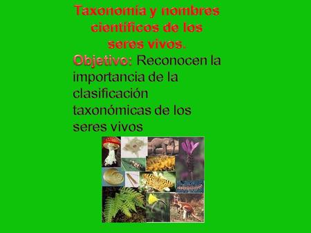 Taxonomía y nombres científicos de los seres vivos.