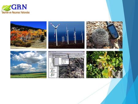 Nos dedicamos a entregar una gestión integrada en recursos naturales, asesorando a nuestros clientes en materias ambientales y apoyándolos en la toma.