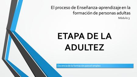 El proceso de Enseñanza-aprendizaje en la formación de personas adultas Módulo 3 ETAPA DE LA ADULTEZ Docencia de la formación para el empleo.