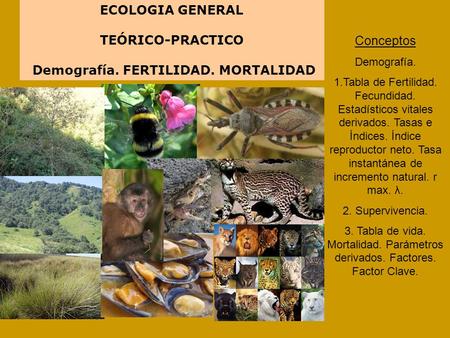 Demografía. FERTILIDAD. MORTALIDAD