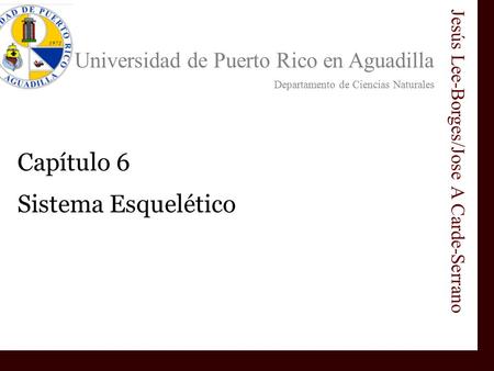 Capítulo 6 Sistema Esquelético