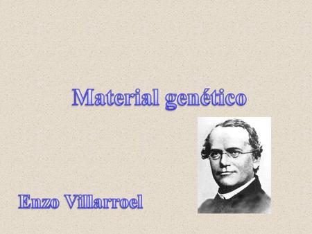 Material genético Enzo Villarroel.