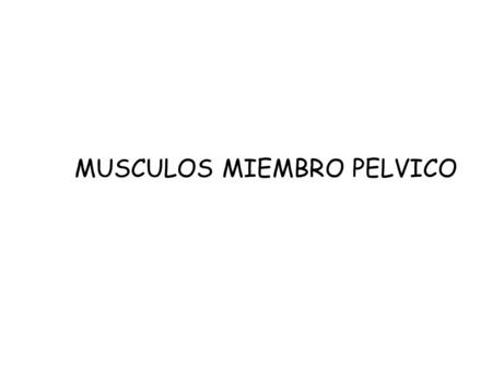 MUSCULOS MIEMBRO PELVICO